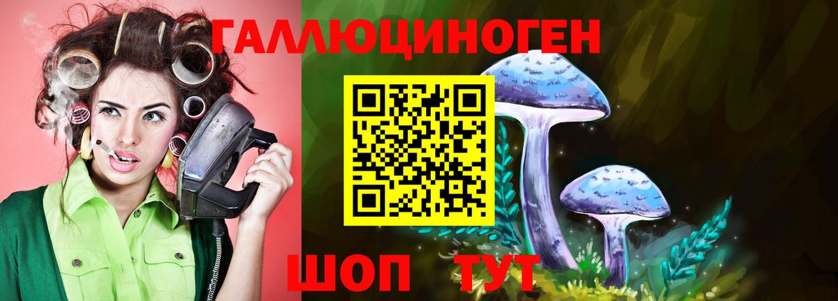 Галлюциногенные грибы ЛСД Губкинский